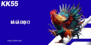 Đá Gà Chọi C1 - Sân Đấu Đỉnh Cao Quy Tụ Chiến Kê Mạnh